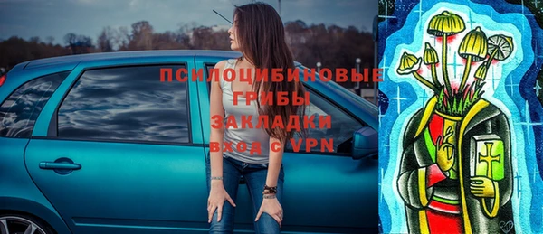 spice Осташков
