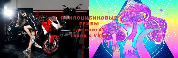 spice Осташков