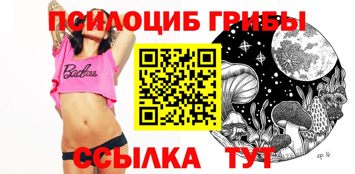 Кузнецк  Галлюциногенные грибы прущие грибы  Вход с VPN  Псилоцибиновые грибы мицелий 