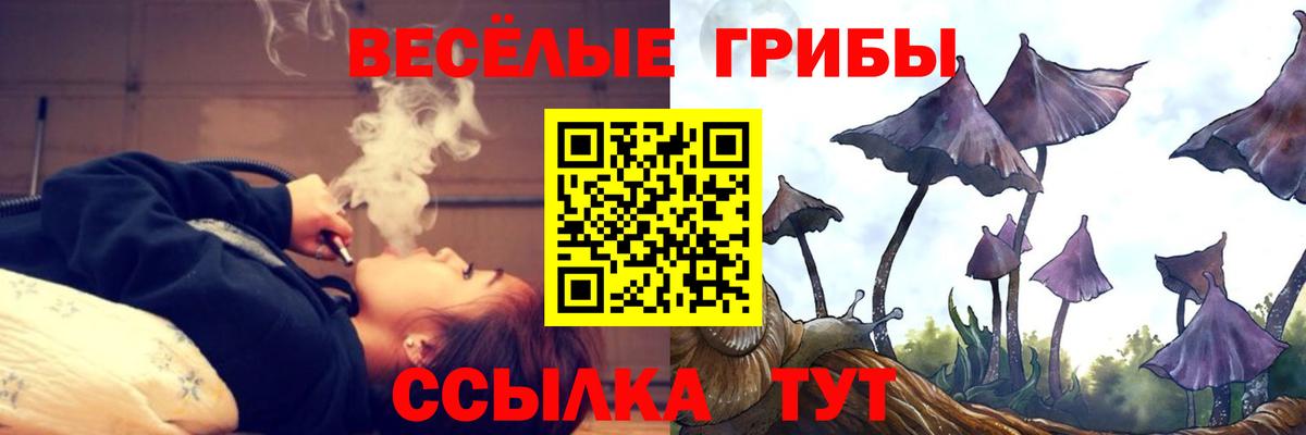 Псилоцибиновые грибы мухоморы Кузнецк